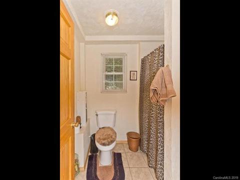 10669 Rush Fork Rd, Clyde, NC 28721 photo 39