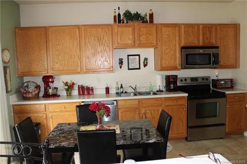 7579 Bluff Point Ln, Denver, NC 28037 photo 7