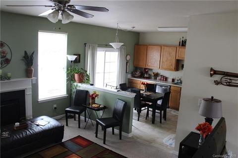 7579 Bluff Point Ln, Denver, NC 28037 photo 8