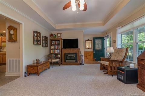 460 Flat Branch Trl, Mill Spring, NC 28756 photo 5