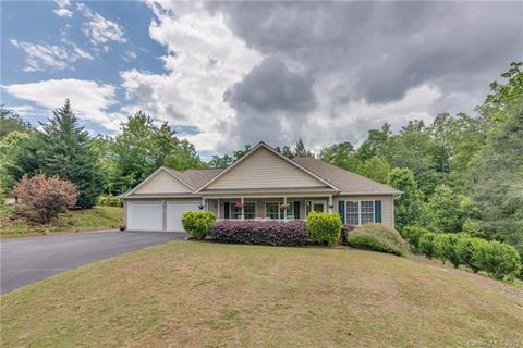460 Flat Branch Trl, Mill Spring, NC 28756 photo 1