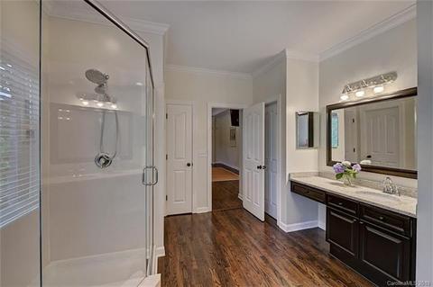 18523 Dembridge Dr, Davidson, NC 28036 photo 29