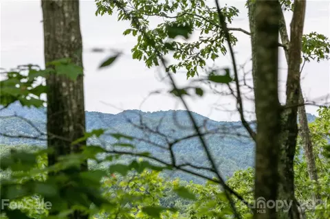 Austin Mountain Road, Burnsville, NC 28714