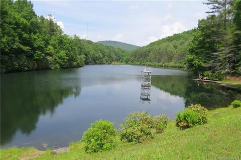 460 Juniper Ln, Brevard, NC 28712 photo 45