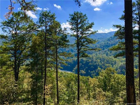 237 White Rapid Rd, Marshall, NC 28753 photo 1