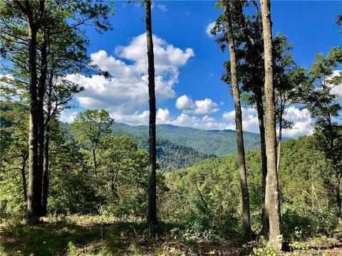 237 White Rapid Rd, Marshall, NC 28753 photo 2