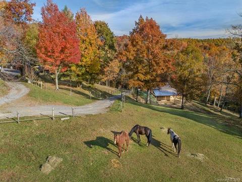 123 Fox Tower Rd, Brevard, NC 28712 photo 32