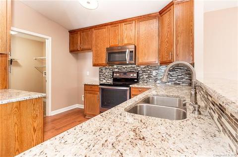 17153 Doe Valley Ct, Cornelius, NC 28031 photo 15