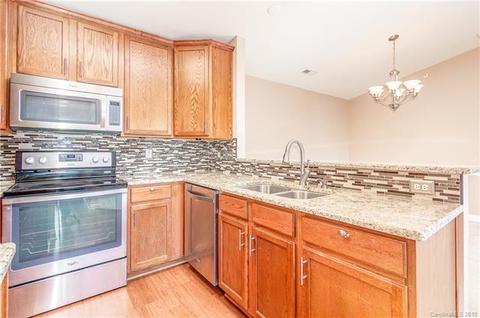 17153 Doe Valley Ct, Cornelius, NC 28031 photo 16