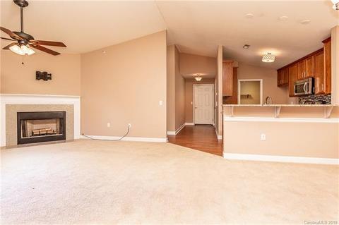 17153 Doe Valley Ct, Cornelius, NC 28031 photo 9