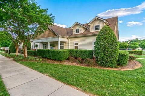 17153 Doe Valley Ct, Cornelius, NC 28031 photo 20