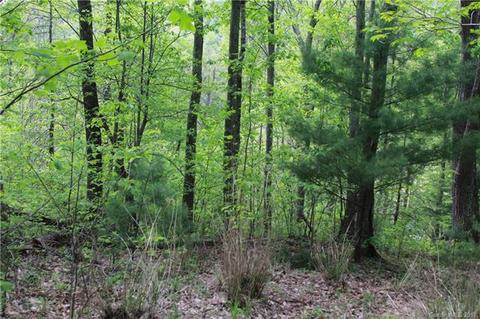 402 Will Arrington Rd, Marshall, NC 28753 photo 20