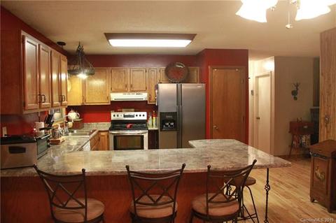 55 Ben Clark Rd, Marshall, NC 28753 photo 4