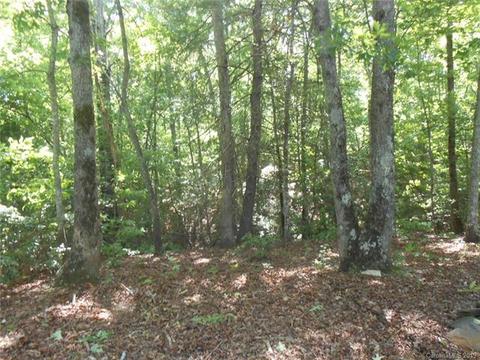 255 Briar Patch Dr, Nebo, NC 28761 photo 11