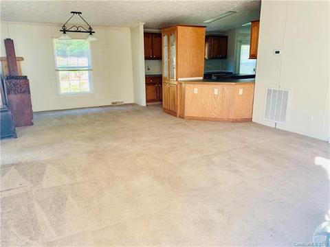8 Spring Tree Ln, Fairview, NC 28730 photo 14