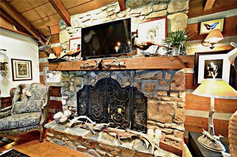 5911 Big Level Rd, Mill Spring, NC 28756 photo 16