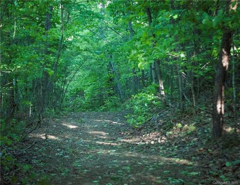 5911 Big Level Rd, Mill Spring, NC 28756 photo 41
