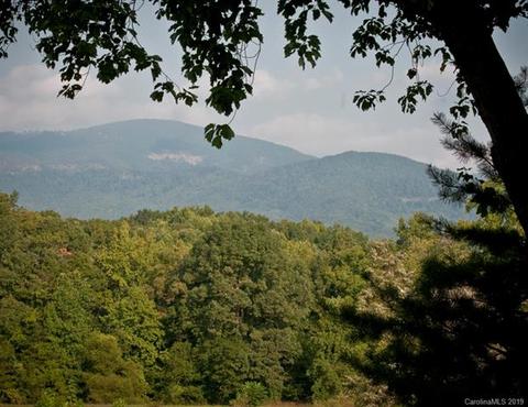 5911 Big Level Rd, Mill Spring, NC 28756 photo 28