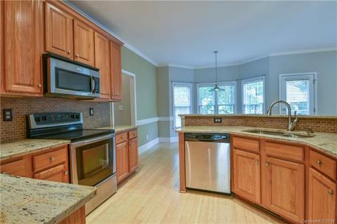8424 Forest Shadow Cir, Cornelius, NC 28031 photo 14