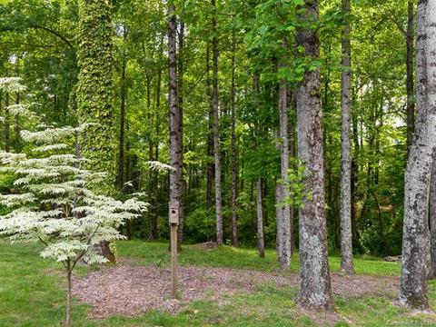 40 Stonecrest Ct, Flat Rock, NC 28731 photo 25