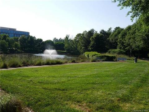 920 Jetton St #38, Davidson, NC 28036 photo 39