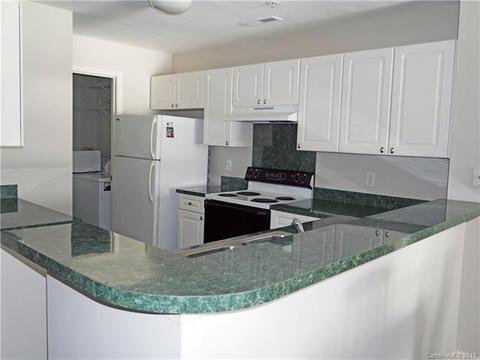 920 Jetton St #38, Davidson, NC 28036 photo 11