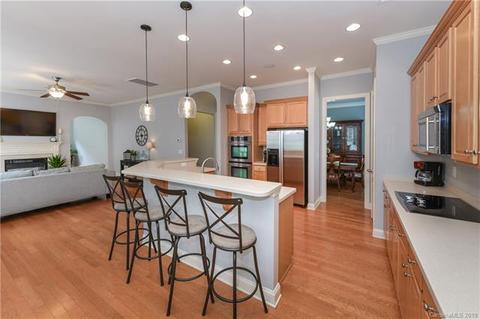 415 Nugget Ct, Fort Mill, SC 29708 photo 9