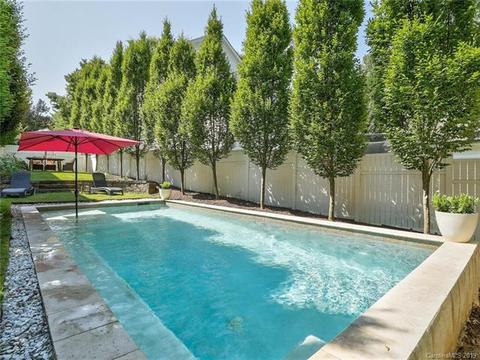 2533 Lower Assembly Dr, Fort Mill, SC 29708 photo 9