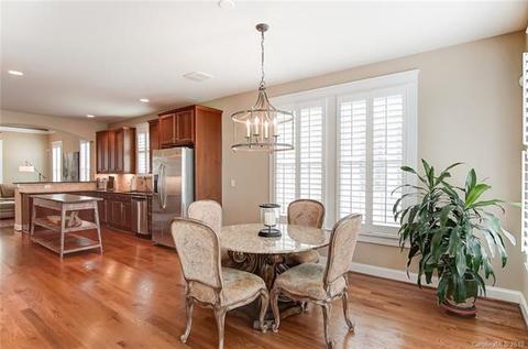 730 Revival Row, Fort Mill, SC 29708 photo 16