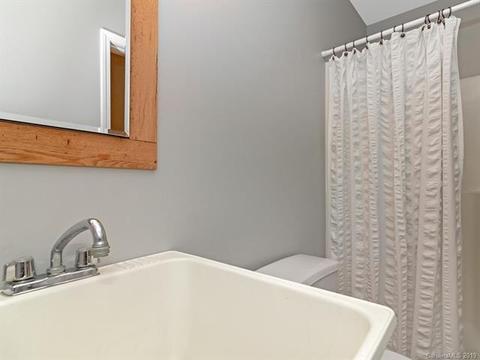 5 Mayapple Ln, Brevard, NC 28712 photo 30