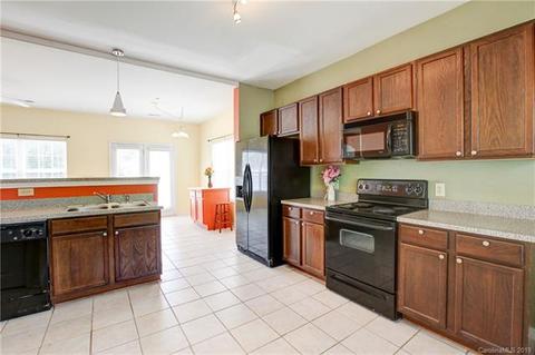 11044 Heritage Green Dr, Cornelius, NC 28031 photo 3