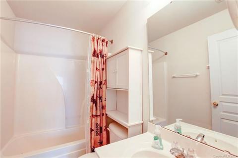 11044 Heritage Green Dr, Cornelius, NC 28031 photo 9