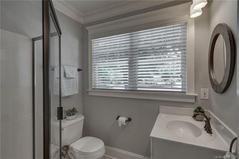 227 S Thompson St, Davidson, NC 28036 photo 46