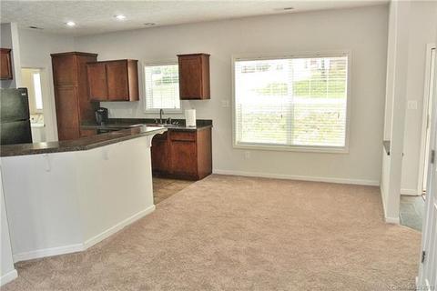 335 Upper Thomas Branch Rd, Marshall, NC 28753 photo 4