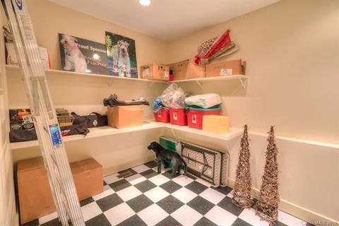 925 Saratoga Dr, Boone, NC 28607 photo 39
