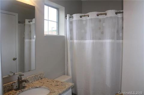 18841 Vineyard Point Ln, Cornelius, NC 28031 photo 17