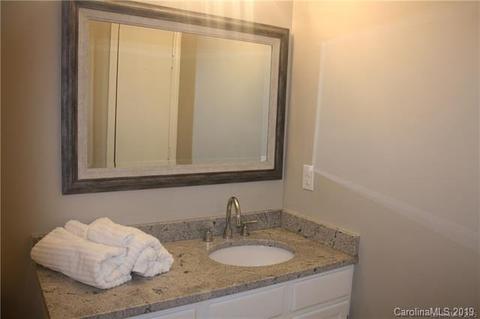 18841 Vineyard Point Ln, Cornelius, NC 28031 photo 13