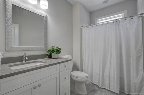18731 Coachmans Trce, Cornelius, NC 28031 photo 35