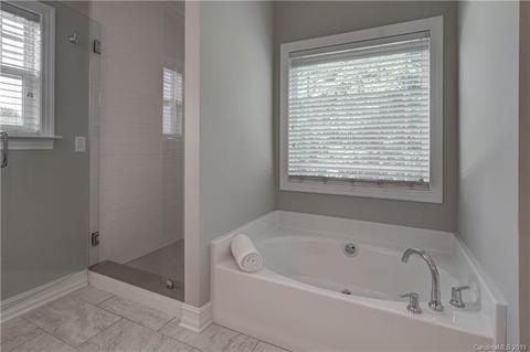 18731 Coachmans Trce, Cornelius, NC 28031 photo 30