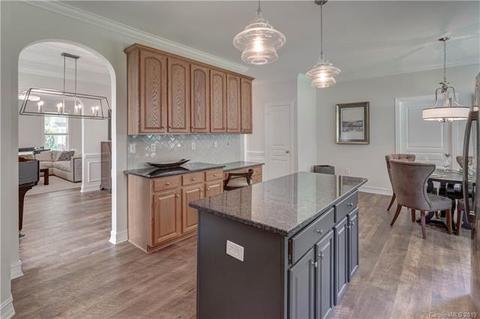 18731 Coachmans Trce, Cornelius, NC 28031 photo 20