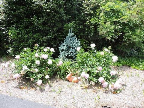 520 Main St, Troy, NC 27371 photo 39