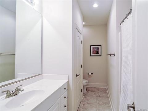 170 Harper Lee St, Davidson, NC 28036 photo 26