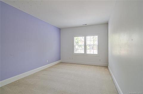 170 Harper Lee St, Davidson, NC 28036 photo 24