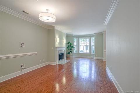 170 Harper Lee St, Davidson, NC 28036 photo 8