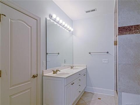 170 Harper Lee St, Davidson, NC 28036 photo 25