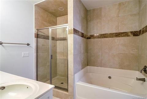 170 Harper Lee St, Davidson, NC 28036 photo 20