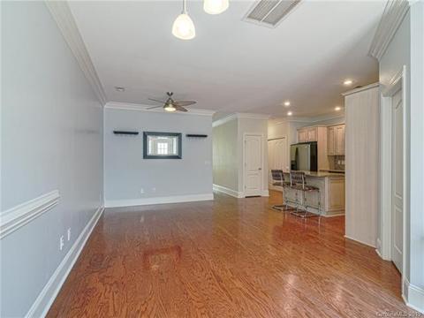 170 Harper Lee St, Davidson, NC 28036 photo 16