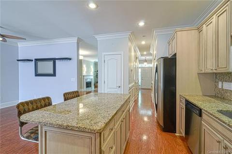 170 Harper Lee St, Davidson, NC 28036 photo 14