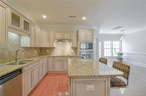 170 Harper Lee St, Davidson, NC 28036 photo 12