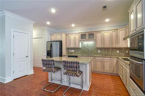 170 Harper Lee St, Davidson, NC 28036 photo 11